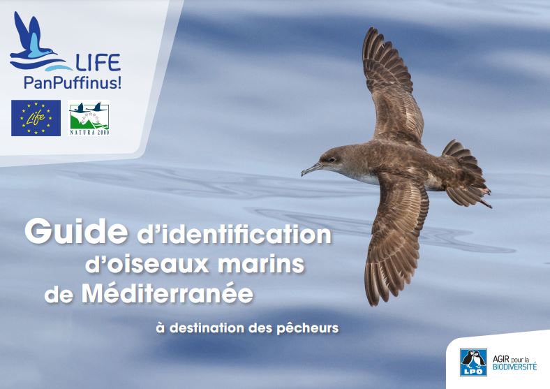 couverture du guide d’identification d’oiseaux marins de Méditerranée à destination des pêcheurs
